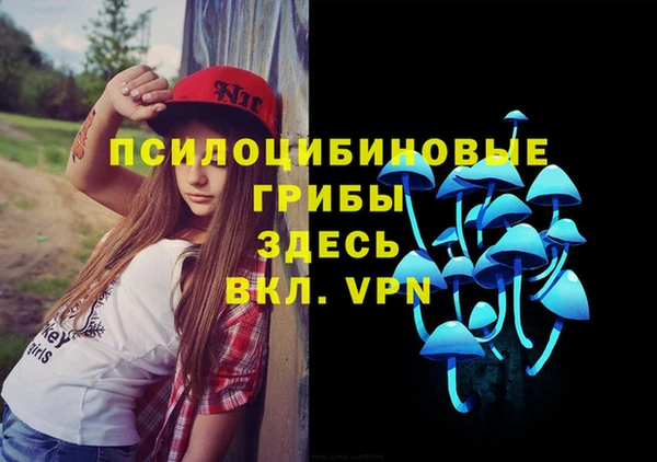 индика Белокуриха