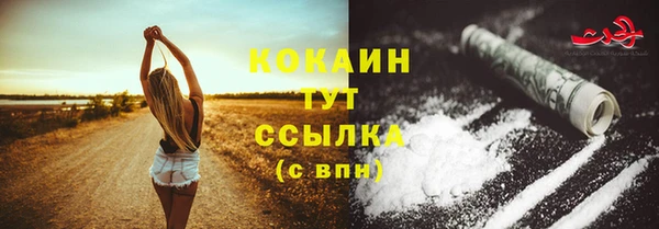 индика Белокуриха